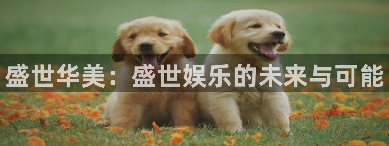 今年会：盛世华美：盛世娱乐的未来与可能